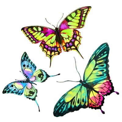 Sticker vlindersontwerp