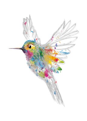 Sticker Vogel in een grafische stijl