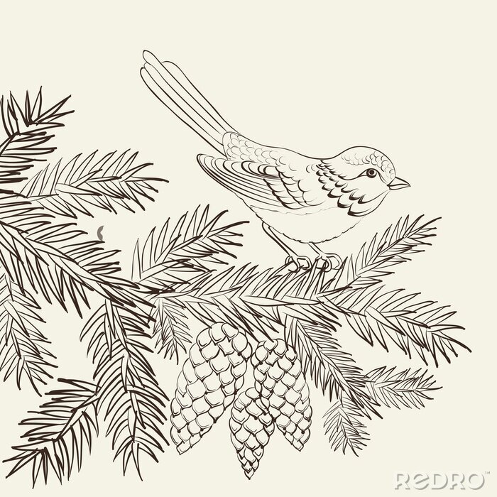 Sticker Vogel zittend op een dennenboom