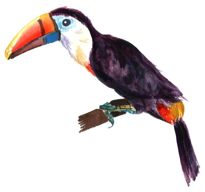 Sticker Vogel zittend op een tak