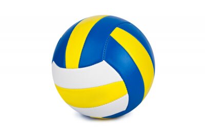 Sticker Volleybal