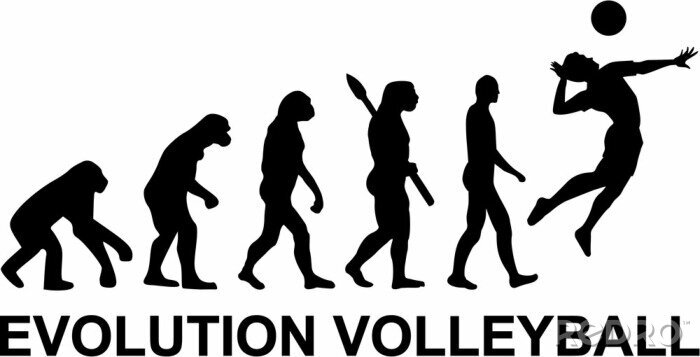 Sticker Volleybal Evolution