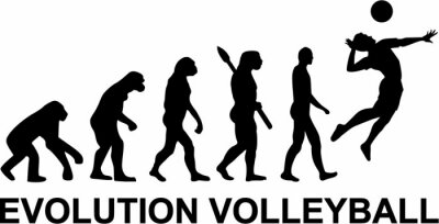 Sticker Volleybal Evolution