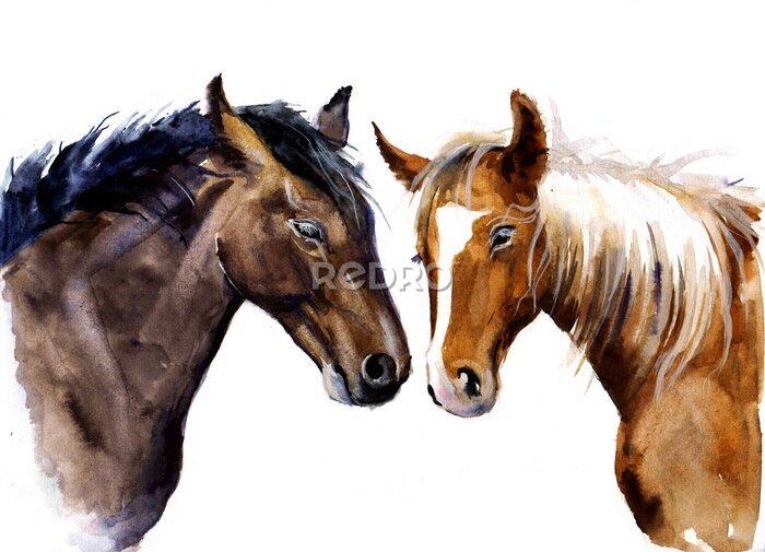 Sticker Vriendschap van paarden