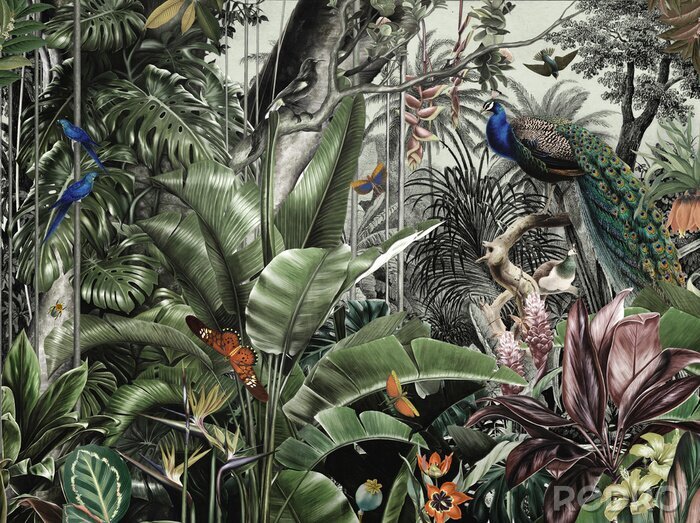 Sticker wallpaper jungle and tropical forest flamngo and tropical birds, old drawing vintage peacock