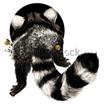 Sticker wasbeer schets vectorafbeeldingen terug kleurenfoto