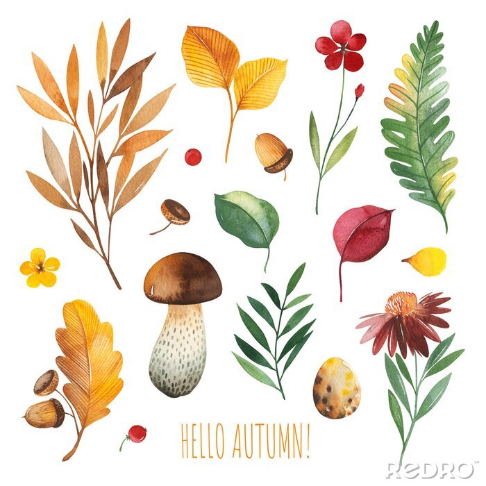 Sticker Watercolor Autumn set with leaves,mushrooms,berries,branches,eggs,nuts,acorns,flowers and more. Perfect for wallpapers,stickers,scrapbooking,invitations,print