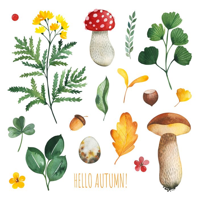 Sticker Watercolor Autumn set with leaves,mushrooms,berries,branches,eggs,nuts,acorns,flowers and more. Perfect for wallpapers,stickers,scrapbooking,invitations,print