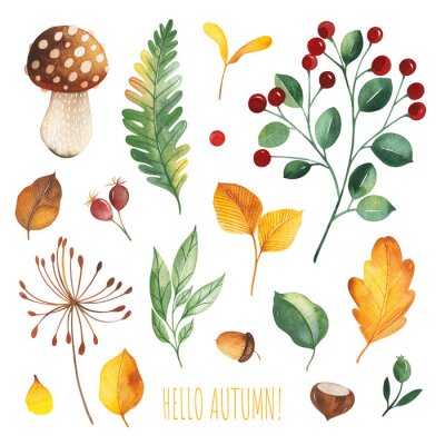 Sticker Watercolor Autumn set with leaves,mushrooms,berries,branches,oak leaf,nuts,acorns,flowers and more. Perfect for wallpapers,stickers,scrapbooking,invitations,print