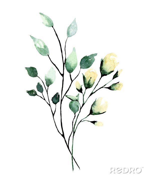 Sticker Watercolor branch with green leaves and flowers roses. Hand painting floral illustration. Leaf, plant isolated on white background. 