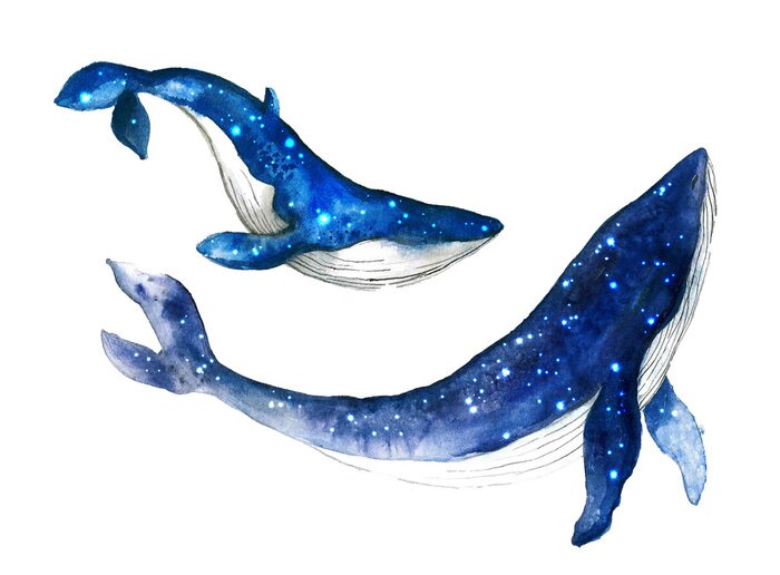 Sticker Watercolor cute whale. Shark illustartion