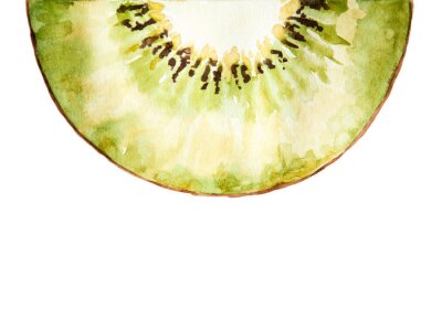 Sticker Watercolor drawing of half of kiwi isolated on the white background. Illustration of kiwi.