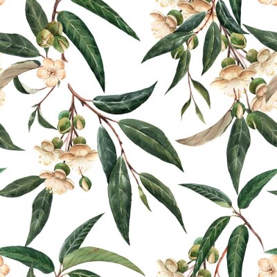 Fotobehang Watercolor durian tropical seamless pattern