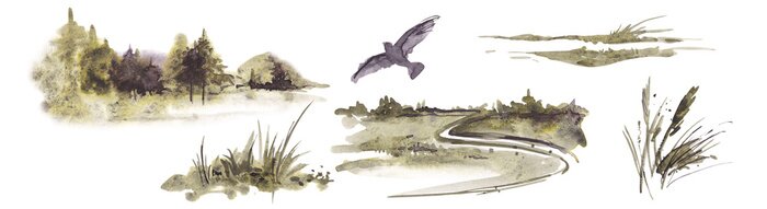 Sticker Watercolor landscape with forest, herbs, bird and field on a white background.