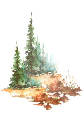 Sticker Watercolor trees, forest, pine, green spruce, landscape. Summer forest landscape, bushes, wild grass, slope. Illustration made for a different design. Isolated on white background. Abstract paint