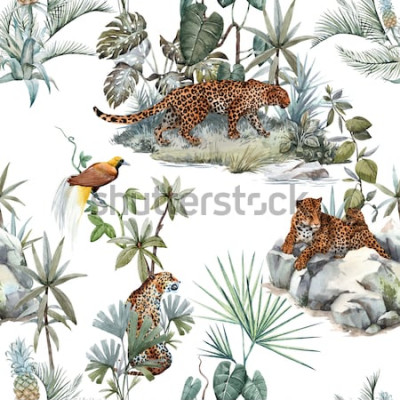 Sticker Watercolor tropical pattern with a leopard animal, a wild leopardle walking through the jungle, a leopard with a cub lying on the beds. Birds of Paradise on the tree. Palm tree and Monsterra plant. 