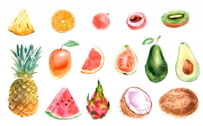 Sticker Watercolor tropical set of fruits on a white background