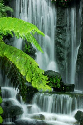 Waterval en groene bladeren