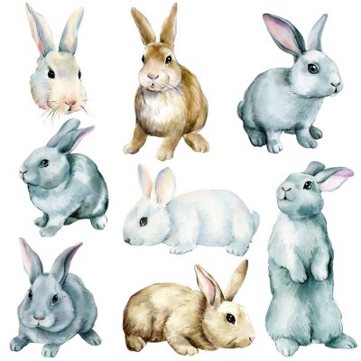 Sticker Waterverf konijntjes op witte achtergrond