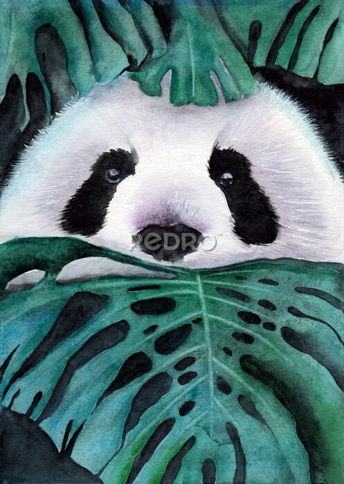 Sticker Waterverf panda in monstera bladeren