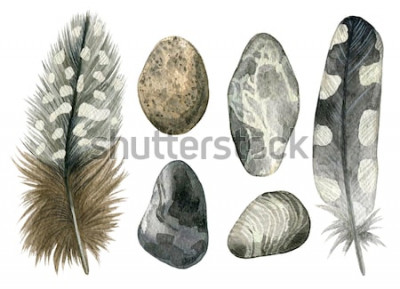 Sticker Waterverfhand getrokken reeks grijze vogelveren en kiezelstenen. Kleurrijke die bohoinzameling op witte achtergrond wordt geïsoleerd