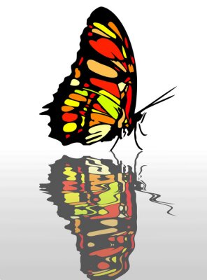 Sticker Weerspiegeling van een kleurrijke vlinder