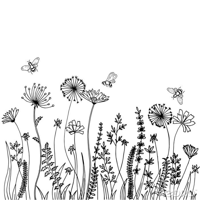 Sticker Weideplanten zwart-wit tekening