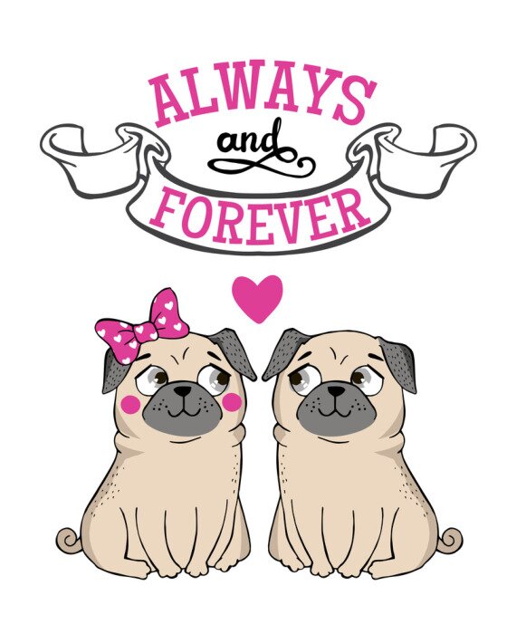 Sticker Wenskaart met grappige Pug