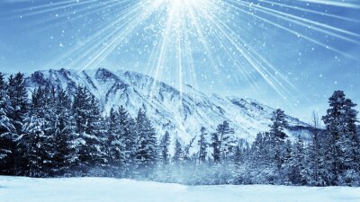 Sticker winterse bos en Magic Sneeuwval