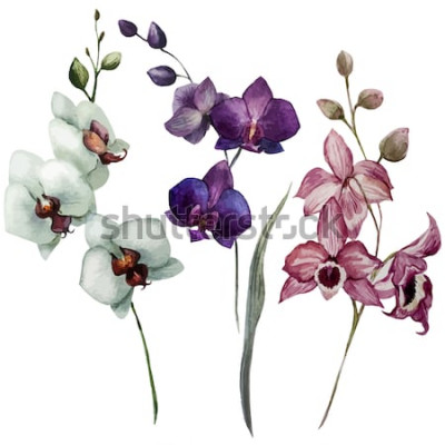 Sticker Witte orchidee met paars en roze