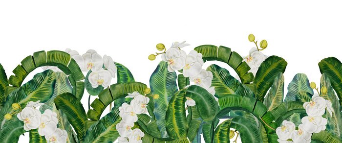 Sticker Witte orchideeënbloemen tussen groene tropische bladeren
