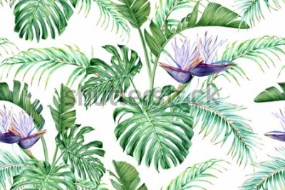 Sticker Witte Strelitzia en tropische bladeren. Een zeldzame exotische bloem. Aquarel naadloze patroon.