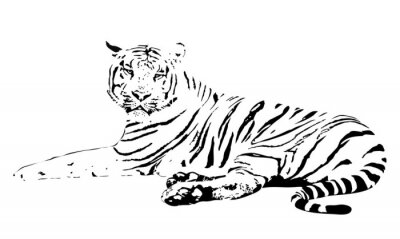 Sticker witte tijger op een witte achtergrond