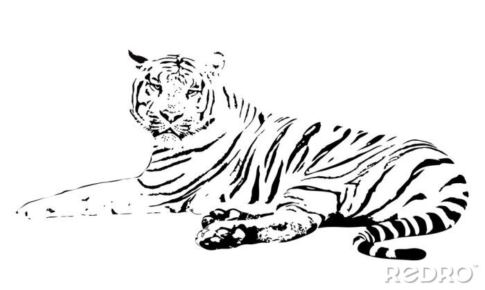 Sticker witte tijger op een witte achtergrond