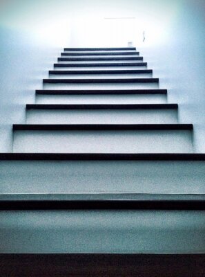 Sticker witte trap opzoeken