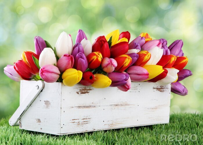 Sticker Witte tulpen in een kleurrijk boeket