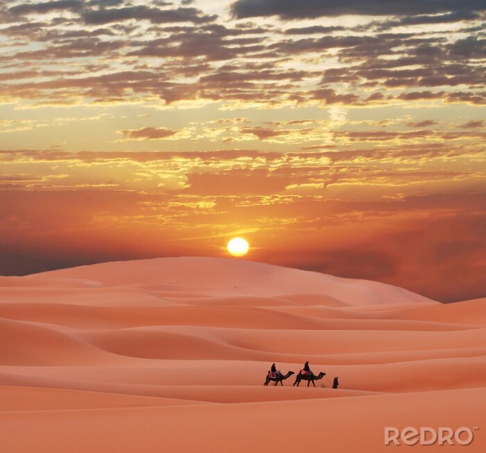 Sticker Woestijn en karavaan