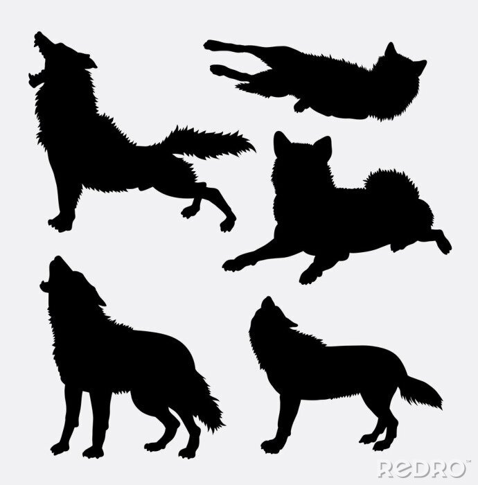 Sticker Wolf wilde dieren en actie silhouet. Goed gebruik voor symbool, logo, web pictogram, mascotte, teken, avatar, of een ontwerp dat u wilt. Makkelijk te gebruiken.