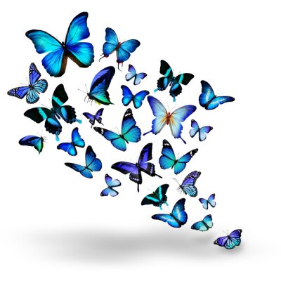 Sticker Wolk van blauwe vlinders