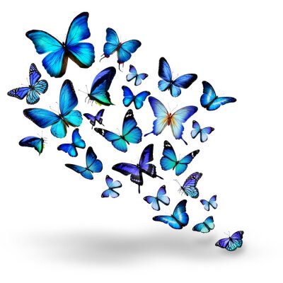 Sticker Wolk van vlinders op een heldere achtergrond