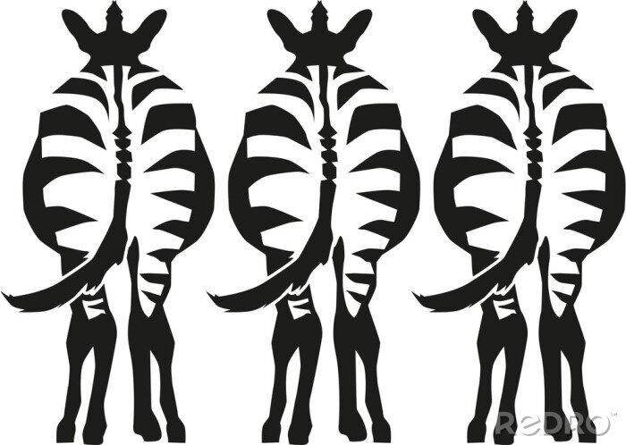 Sticker Drie zebra's staan ​​zien terug