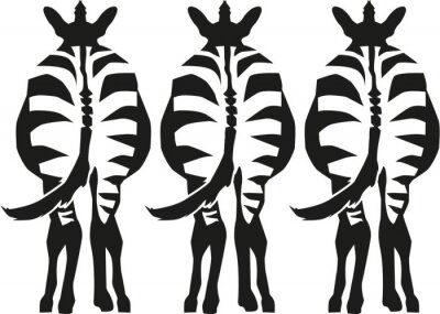 Sticker Drie zebra's staan ​​zien terug
