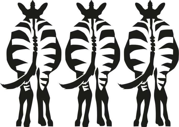 Sticker Drie zebra's staan ​​zien terug