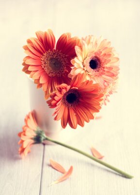 Sticker Zalmkleurige bloemen op het hout