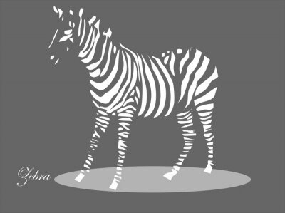 Sticker zebra