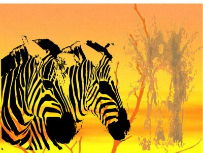 Sticker zebra achtergrond - vector illustratie