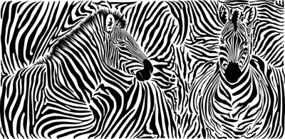 Zebra op gestreepte achtergrond