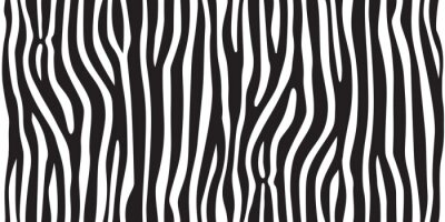 Zebra streeppatroon