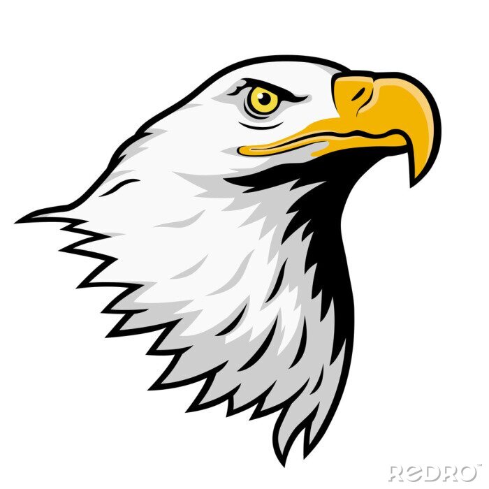 Sticker Zeearend, American Eagle, kleur versie.