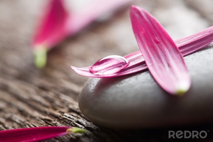 Sticker Zen allegorieën